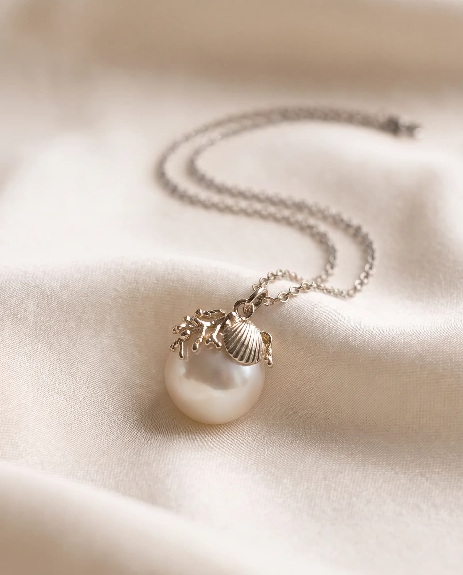 Collar Concha, Oro blanco